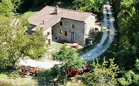 Mimmo'S Holiday House